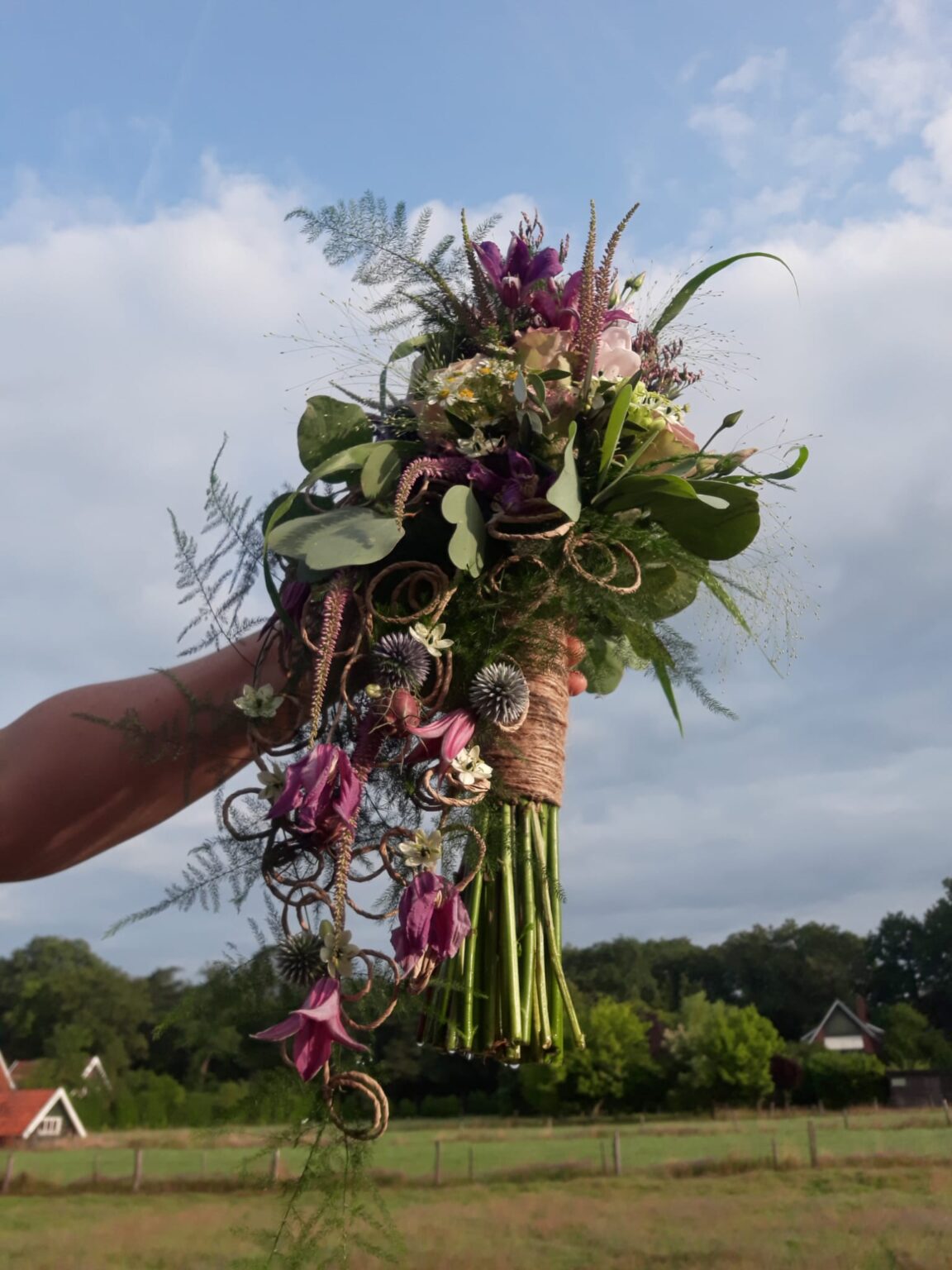 49ab2a6a-12e4-4271-b53b-11ea30901751