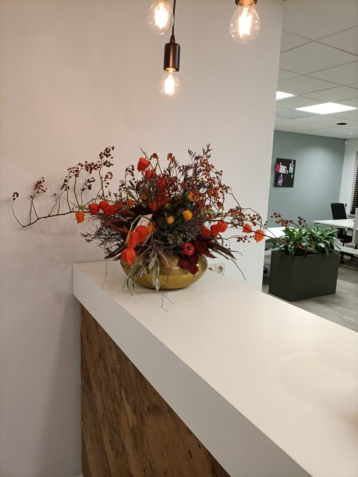 646c272a-3e36-48b7-8b80-c5e92ba99b41