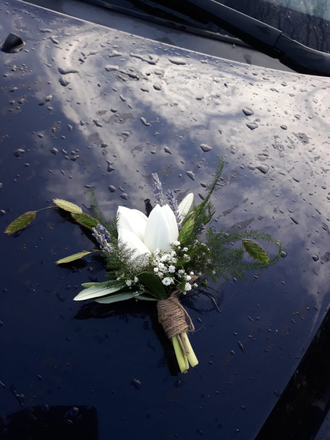 fcf584dc-cfff-407d-a3ff-7439f46e74ea