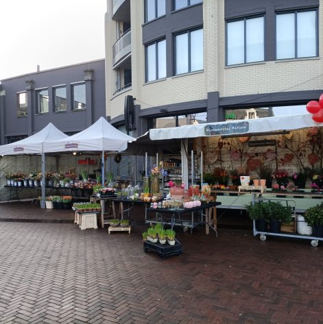 bc305a41-5989-4101-9bed-ca0ec23fe144